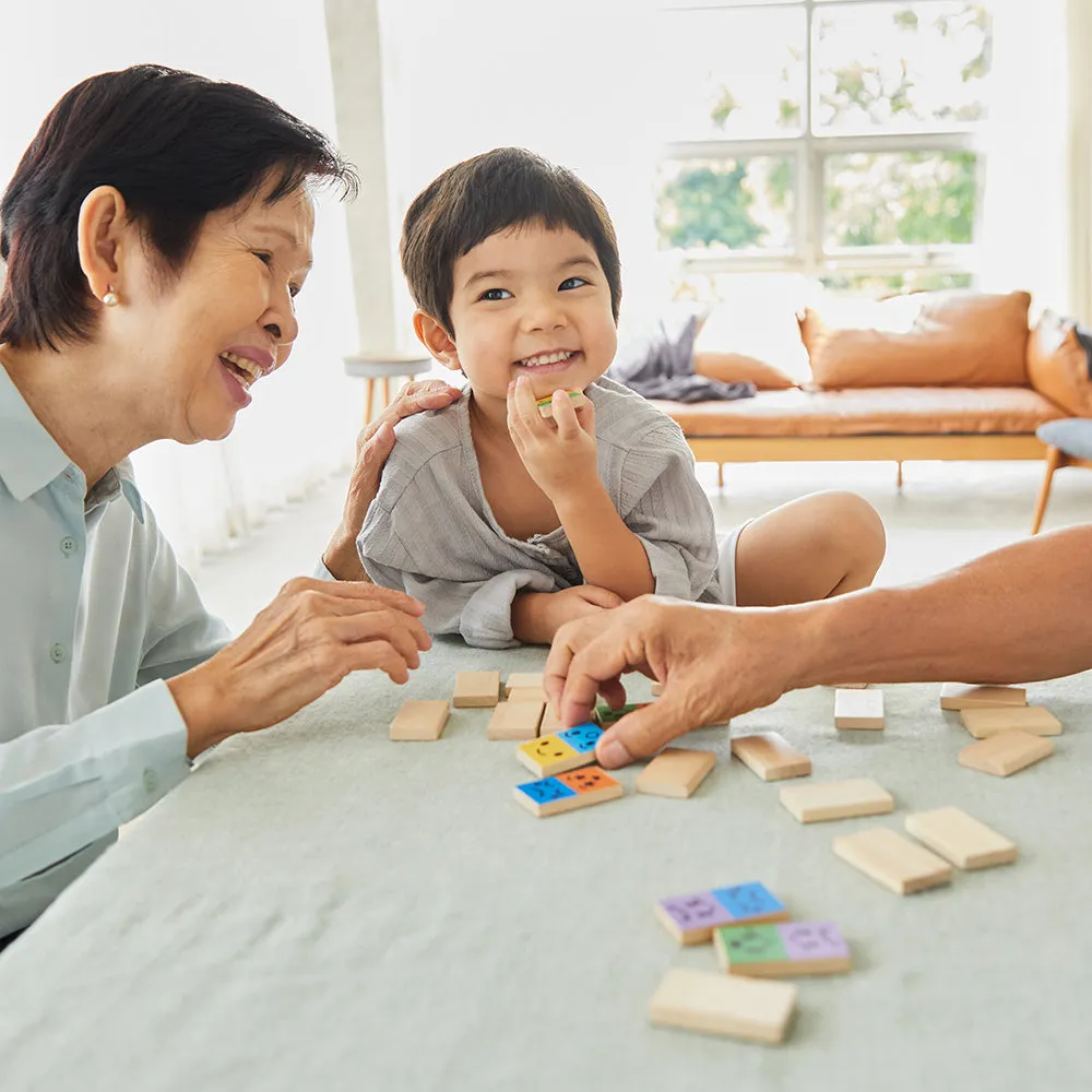 Eco-Friendly Wooden Emotion Dominoes
