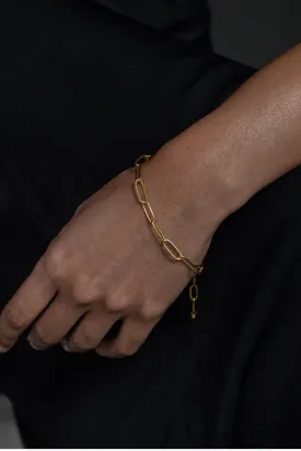 Nautilus Chain Bracelet